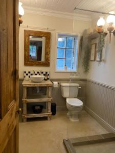 a bathroom with a toilet and a sink and a mirror at Buttercup Cottage in Nottingham Road +8 photos
