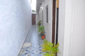 a hallway with potted plants on the side of a building at Ayodhya Guest House in Hampi