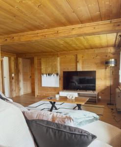 レンクにあるFerienwohnung Metschのソファとテレビのあるリビングルーム