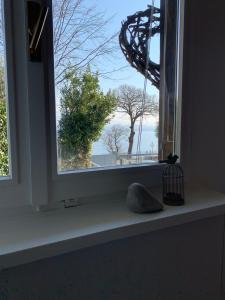 I CARCIONI Infinity Pool في بيلجيراتي: نافذة مطلة على شجرة