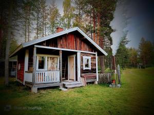 una piccola casa in mezzo a un campo di Hirsimökki 