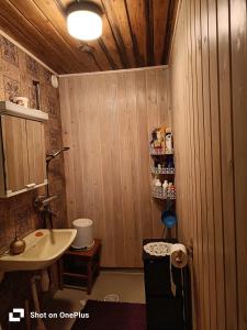 un piccolo bagno con lavandino e lavandino di Hirsimökki 