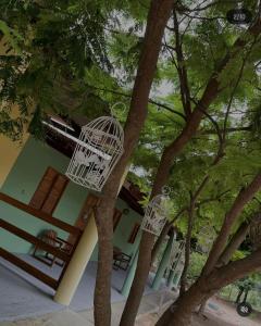 two bird cages hanging from trees in front of a building at Recanto Monte das Oliveiras Hotel e Pousada in Tupim