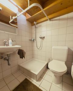 レンクにあるGrosszügige Wohnung Leiterliのトイレと洗面台のあるバスルーム +10枚の写真