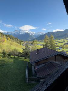 レンクにあるGrosszügige Wohnung Leiterliの山の景色を望む家