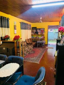 ein Wohnzimmer mit gelben Wänden, einem Sofa und Stühlen in der Unterkunft Sewwandi Home in Nikawatawana