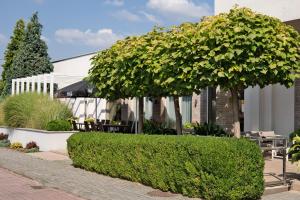 a group of trees and bushes in front of a building at Restauracja Stylowa in Ostrów Wielkopolski