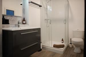 a bathroom with a shower and a sink and a toilet at bel appartement 2-4 personnes coeur de ville Angers in Angers