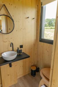 un baño con lavabo y espejo en Parcel Tiny House Couronneau près du Périgord, en Ligueux