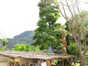 Φυσικό τοπίο κοντά σε αυτό το ξενοδοχείο