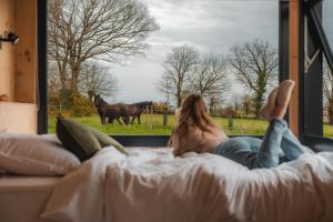 a woman laying on a bed looking out a window at a horse at Parcel Tiny House Carré d'Ach, campagne près de Rennes  +7 photos