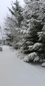 Appartement de 45 m2 v zimě