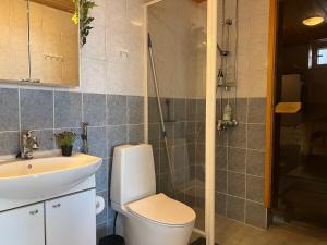 ein Badezimmer mit Toilette, Waschbecken und Dusche in der Unterkunft Kaksio järvinäkymällä ja saunalla Lahden Satamasta in Lahti + 6 Fotos