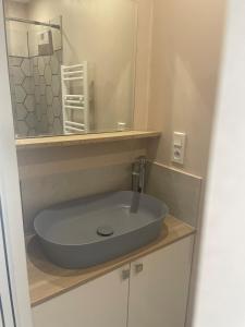 ein Badezimmer mit Waschbecken und Spiegel in der Unterkunft Le petit four à pain in Iffendic + 9 Fotos