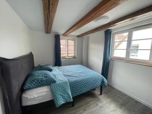 a bedroom with a bed with a blue comforter and two windows at Cottage A day in Strasbourg in Strasbourg