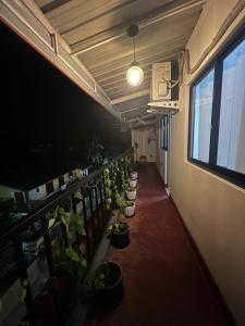 a row of potted plants in a hallway with a window at David Villa in Anuradhapura