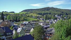 a town in the mountains with houses and trees at Fewo am Iberg 20, inkl Parkplatz in Willingen