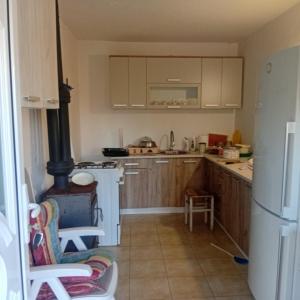 Kuchyň nebo kuchyňský kout v ubytování Kuca za odmor Domacinstvo Jelkici + 18 fotografií