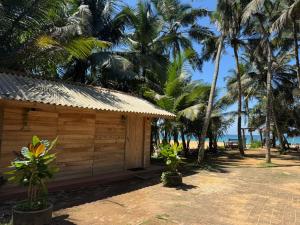 a cabin on the beach with palm trees at Coconut beach in Bentota