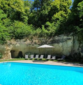 Bazén v ubytování Château de Ternay nebo v jeho okolí