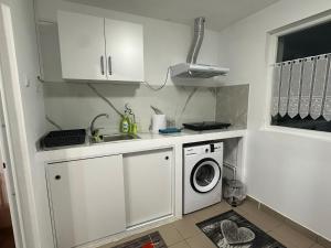 una cucina con lavello e lavatrice di Smart Stay a Craiova Altre 4 foto