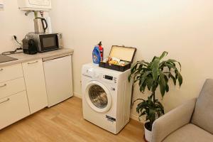 a washing machine in a kitchen with a plant at Casanove212 in Casalecchio di Reno