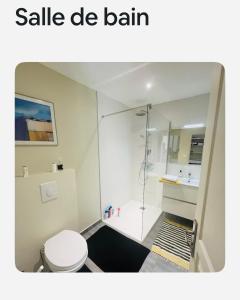 a bathroom with a shower and a toilet and a sink at Maisonnette tout confort in Villette-dʼAnthon