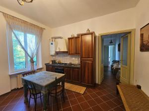 Η κουζίνα ή μικρή κουζίνα στο Villa Carla +14 φωτογραφίες