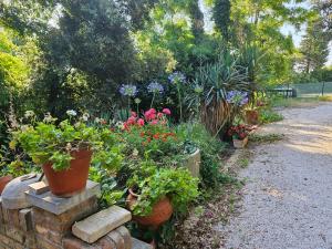 Κήπος έξω από το Villa Carla