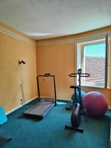 a room with a gym with a exercise bike and a window at Domaine Du Bouleau - Meublé T2 in Bains-les-Bains