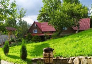 a house on a green hill with a fire hydrant at У Потічка in Izki