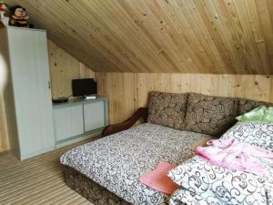 Μια τηλεόραση ή/και κέντρο ψυχαγωγίας στο Котедж У потічка