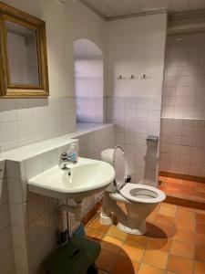 ein Badezimmer mit Toilette und Waschbecken in der Unterkunft Eternellgården, Stenshuvudsvägen , Kivik in Kivik