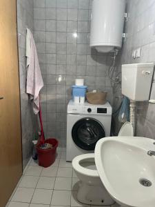 a bathroom with a toilet and a washing machine at Dedina kuća pod Mučnjem in Ivanjica