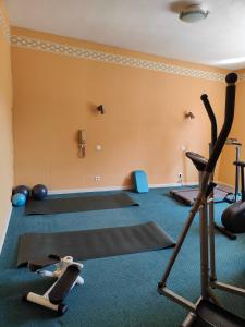 Γυμναστήριο ή/και όργανα γυμναστικής στο Domaine Du Charme - Meublé T2 +9 φωτογραφίες
