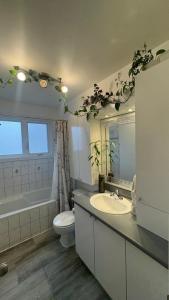 Vannituba majutusasutuses Escapade familiale à Longueuil