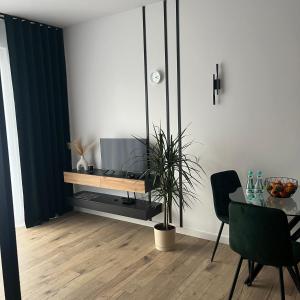 TV a/nebo společenská místnost v ubytování Apartamenty Dwie Rzeki