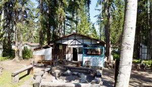 ein kleines Haus mitten im Wald in der Unterkunft Mountain View Cabins in Golden
