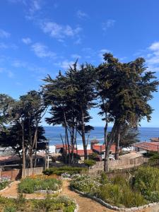 a garden with trees and flowers in front of the ocean at Casona IslaNegra in Isla Negra
