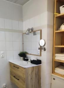 a bathroom with a sink and a mirror at Appartement 2 chambres avec garage à strasbourg in Strasbourg