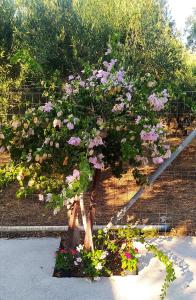 Billede fra billedgalleriet på Mareliva Retreat  + 4 billeder