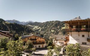 Příroda nedaleko hotelu