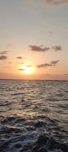 Naturlandskabet i nærheden af feriehuset