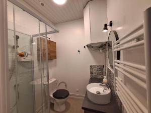 Koupelna v ubytování Charmant T2 Aux 2 Marronniers