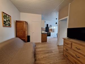 TV a/nebo společenská místnost v ubytování Charmant T2 Aux 2 Marronniers