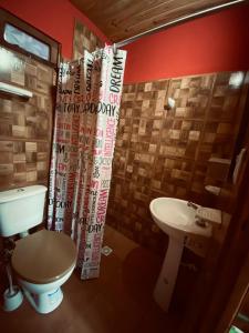 a bathroom with a toilet and a sink at Cabañas El Zonda in Tinogasta