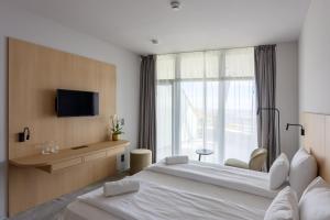 TV a/nebo společenská místnost v ubytování Hotel Princeps