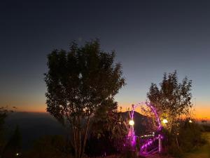 Vista nocturna de una colina con un árbol y luces en Kanatal stay, en Dhanaulti 8 fotos más