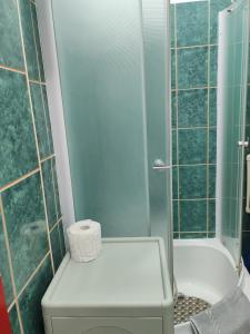 a small bathroom with a toilet and a shower at Isi beauty in Jagodina