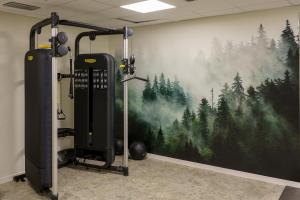 Fitness centrum a/nebo fitness zařízení v ubytování Maison Poluc - Petit Bijou